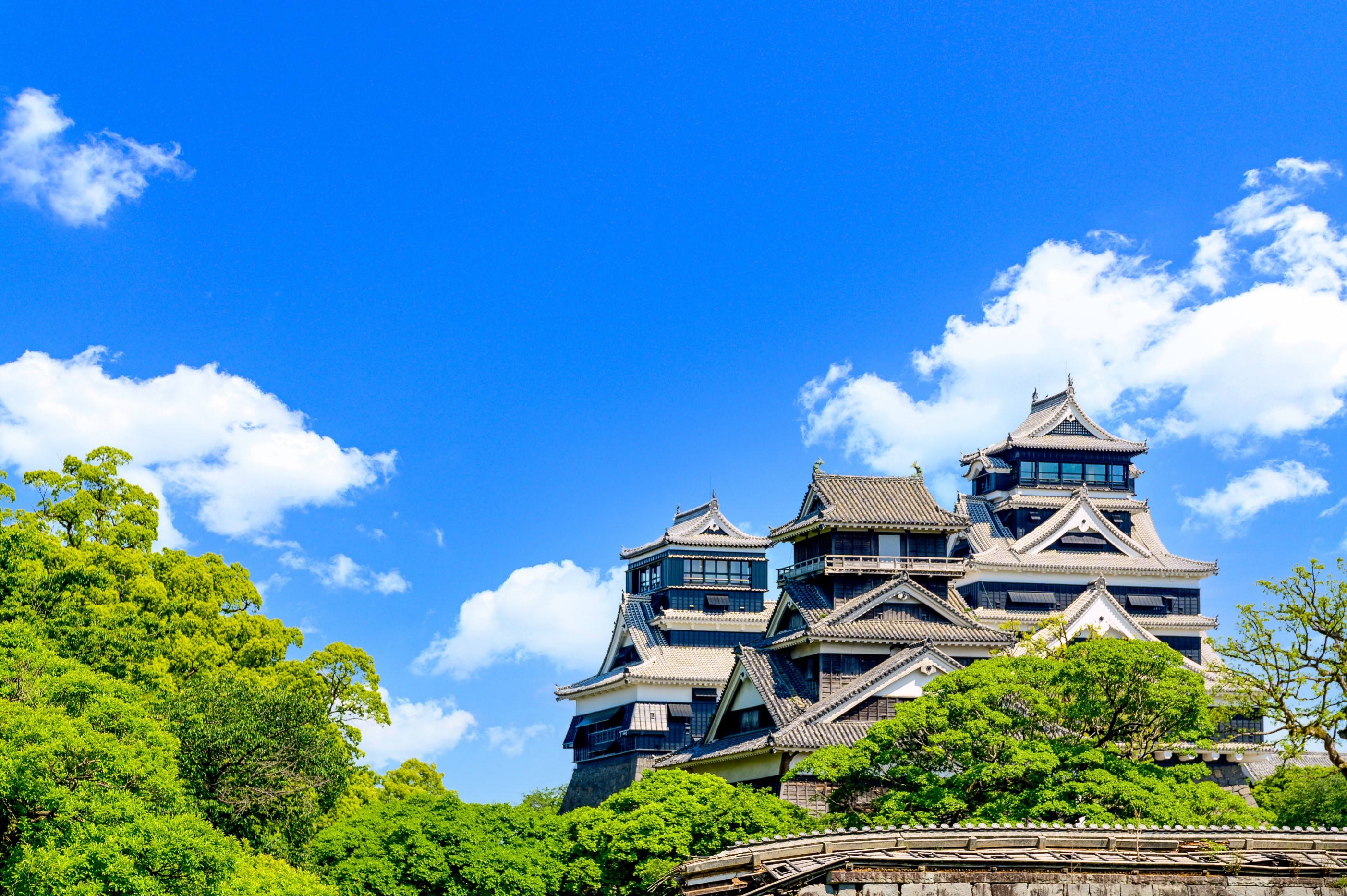 基金協会の概要